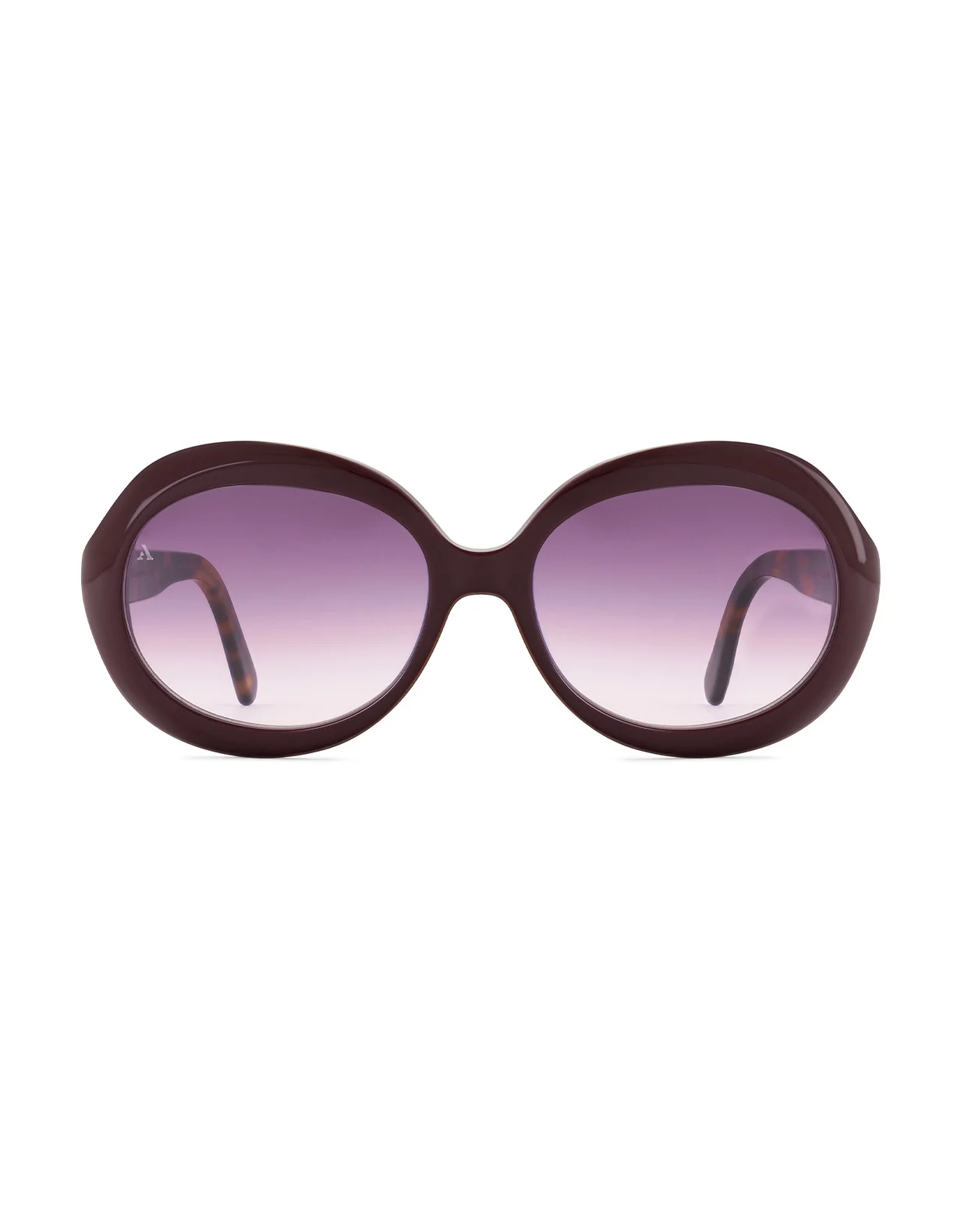 Albidaa Oversized Sunglasses Shiny